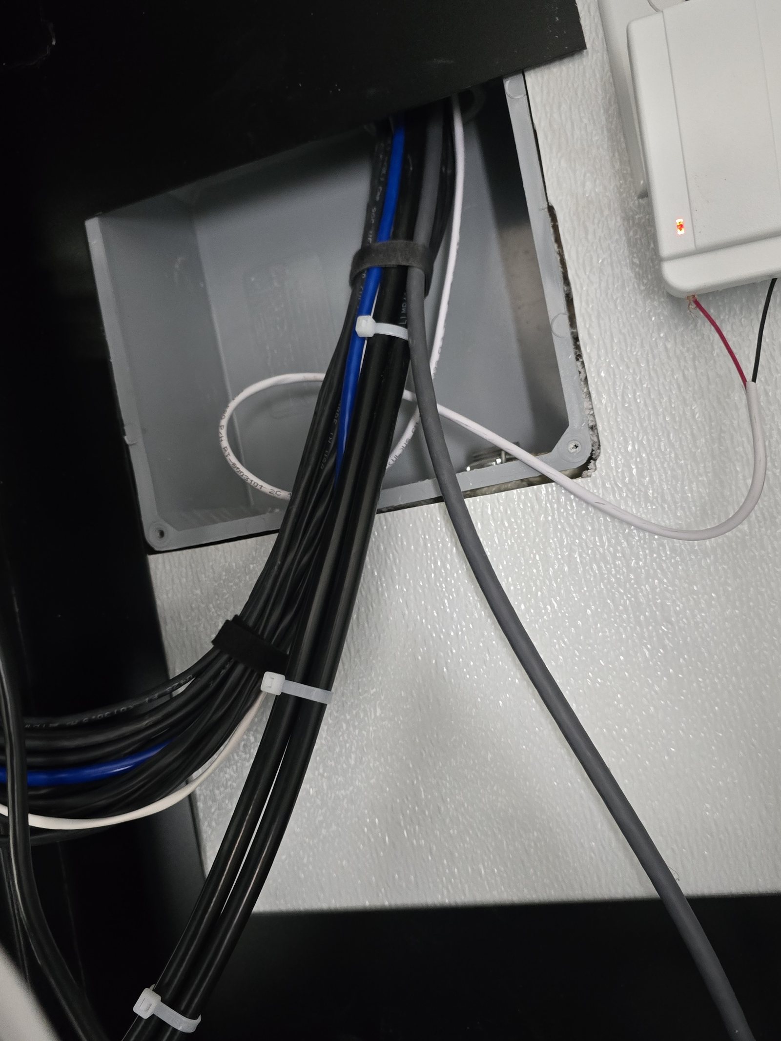 Low-voltage cable bundle routed through a commercial wall pathway for network infrastructure